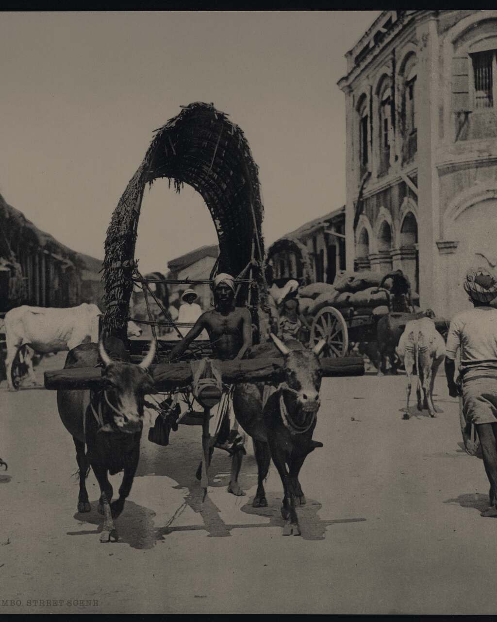 Photograph of a Colombo street about 1890, a bullock cart carrying a high arched load, drivers walking beside it, a colonnaded building behind.